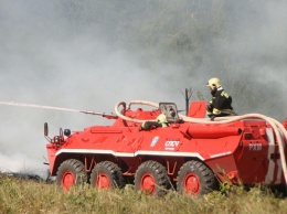 С начала года сгорело более 400 гектаров леса в Саратовской области