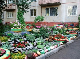 В Симферополе нашли дворы с лучшими цветниками