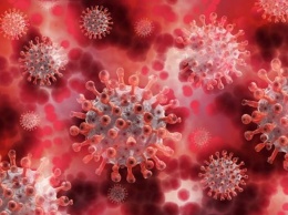Канадские ученые объяснили низкий уровень кислорода в крови при коронавирусе