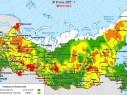 Лесопожарная обстановка в Алтайском крае улучшилась