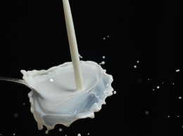 Россельхознадзор проверил 119 молочных предприятий: везде нарушения