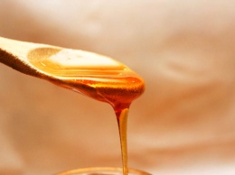Итальянские медики предупредили, кому следует принимать мед с осторожностью