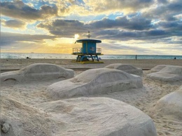 Песчаная автомобильная пробка появилась на пляже в США