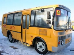 В Приамурье заработали все школьные автобусные маршруты