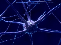 Ученые разгадали загадку зарождения в мозге сознания