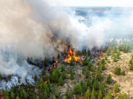 В Югре в Кондинском лесничестве снова бушует природный пожар