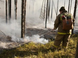 Лесной пожар в Кондинском районе потушен