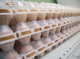 Посетители кузбасского магазина обнаружили опарышей в яичной упаковке