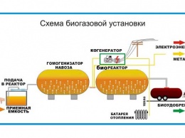 Станции по переработке навоза в биогаз предлагают установит на алтайских предприятиях