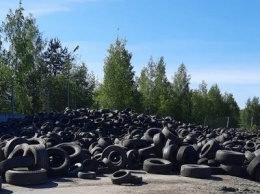 В Петрозаводске решат проблему с вывозом старых шин