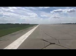Пробежка дикого лося по кемеровскому аэропорту попала на видео