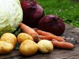 В Крыму резко выросли цены на капусту, свеклу и морковь