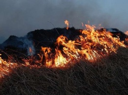 Высокая пожароопасность продлена в Алтайском крае по 18 июня