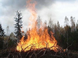 В Алтайском крае отменен противопожарный режим, но некоторые запреты остаются