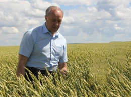 Зерновой демпфер. Саратовские фермеры ждут вмешательства губернатора