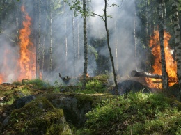 Пожар произошел в заповеднике "Денежкин камень" в Свердловской области