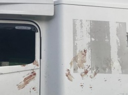 В Калужской области задержали подозреваемого в убийстве водителя грузовика