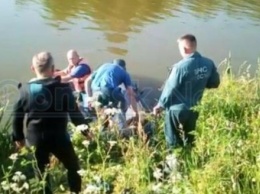В Обнинске в пруду утонул человек