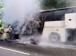 На Кубани в результате столкновения автобусов пострадали дети