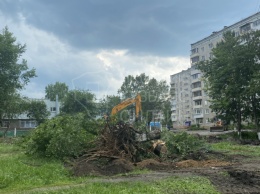 Кемеровчане пожаловались на вырубку леса ради парковки