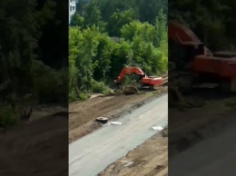 Кемеровчане возмутились уничтожением деревьев на стройке скандальной дороги