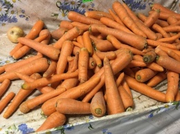 Саратовстат: за три недели морковь подорожала на 18 рублей