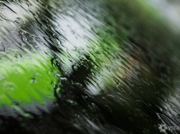 Вильфанд сообщил об избытке дождей в июле в сибирских регионах