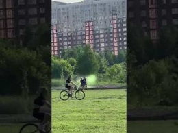 "Покраска" газона возле президентского училища возмутила кемеровчан
