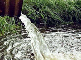 Минприроды проводит проверку сообщения о сливе химических веществ в реку