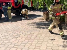 В Геленджике из-за угрозы пожара были эвакуированы отдыхающие в детском лагере