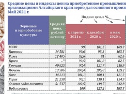 Цены на зерновые в Алтайском крае снижаются