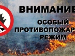 Особый противопожарный режим продлили в Белгородской области