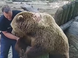 Теплые объятия медведя Мансура с "папой" Андреем умиляют всю страну (видео)