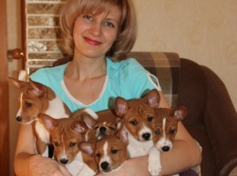 Известная в Барнауле заводчица собак погибла в жесткой аварии на омской трассе