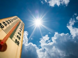 В Белгородской области выходные будут жаркими