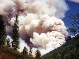 Алтайские пожарные брошены на тушение лесов Якутии