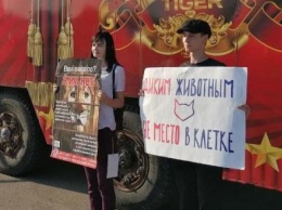 В Калуге прошел пикет против передвижного цирка с дикими животными