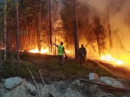 Страшный пожар в Суоярвском районе локализован не без помощи дождя