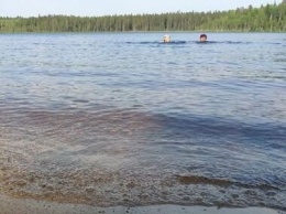 Превышение бактерий выявлено в воде на пляжах в Петрозаводске