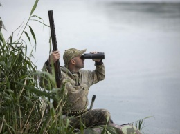 Власти намерены ужесточить требования для охотников