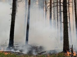 «Колу» перекрыли, в Найстеньярви горели постройки, людей эвакуировали. В Карелии горит уже 4300 га леса