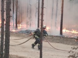 «Никто не знал, что делать!» Волонтеры рассказали свою версию пожара в Найстеньярви