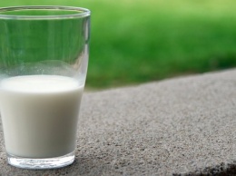 Мамонтово: молока стало больше