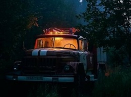 Министр МЧС России из-за лесных пожаров прилетит в Карелию