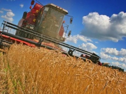 30,5 тыс. тонн зерна намолотили хлеборобы Чувашии