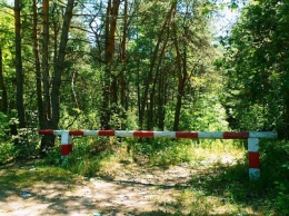 В Краснодарском крае ограничили посещение лесов