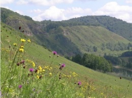 Новая особо охраняемая природная зона на 200 тысяч гектаров появилась в Кузбассе