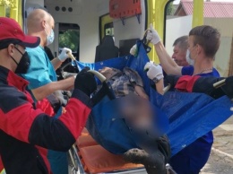 Спасатели вытащили из ямы 67-летнего саратовца