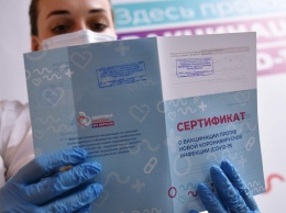 В России заблокировали тысячу сайтов с фейковыми COVID-сертификатами