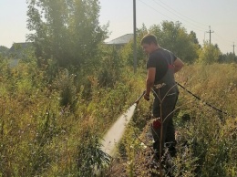 22 гектара дикорастущей конопли уничтожили в Барнауле